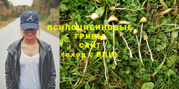 экстази Михайлов