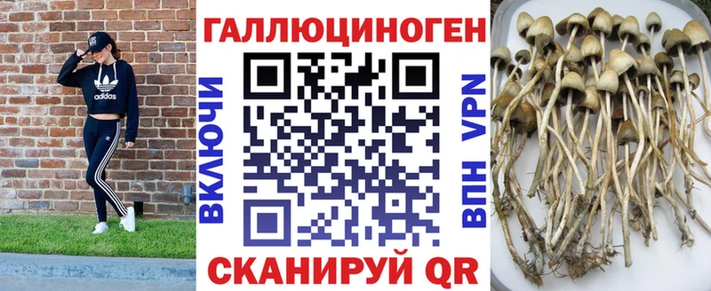 Галлюциногенные грибы GOLDEN TEACHER  гидра ТОР  Жуковский 