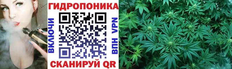 Бошки марихуана VHQ  купить наркоту  Жуковский 